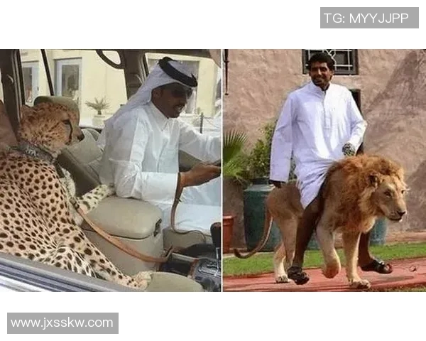 沙特阿拉伯足球明星与宠物的奇妙故事揭秘