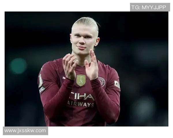 哈兰德足球明星名字大全及其成就解析与球迷热议